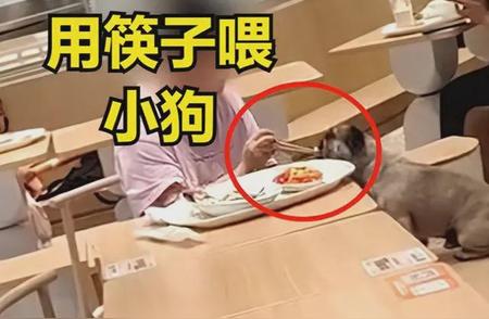上海女子餐厅狗同餐引发争议，宠物饮食卫生你了解多少？